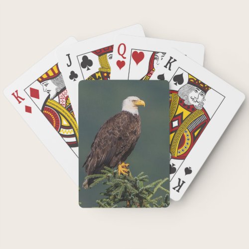 Regal Bald Eagle Poker Cards