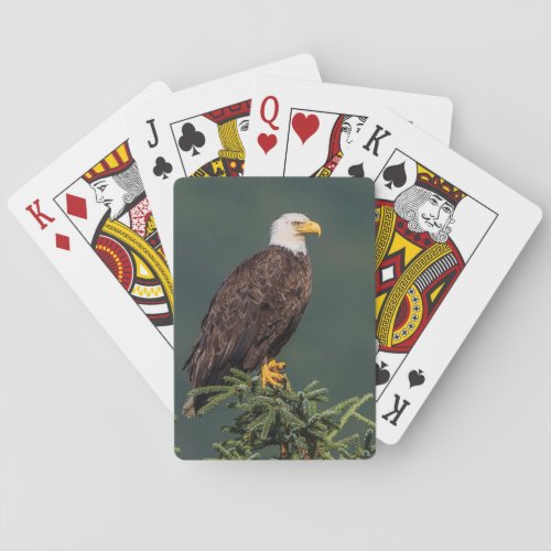 Regal Bald Eagle Poker Cards