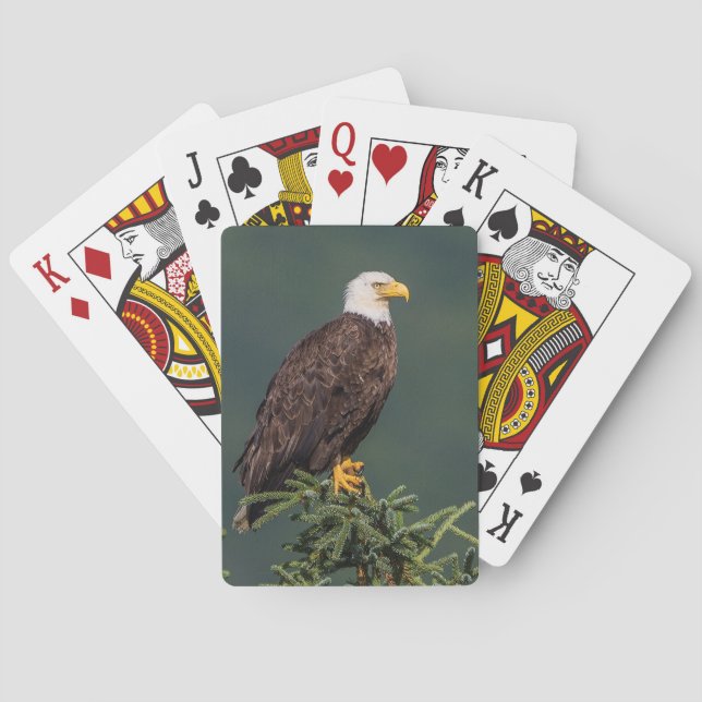 Regal Bald Eagle Poker Cards (Back)