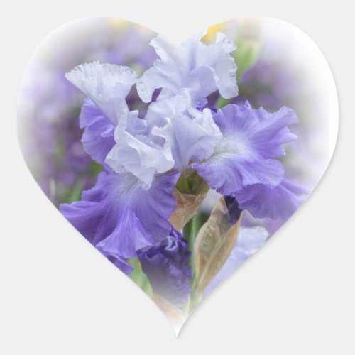 Regal Bearded Iris _ Purple  White Heart Sticker