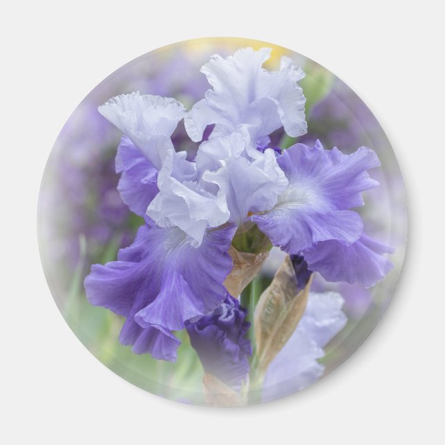Regal Bearded Iris - Purple & White Magnet (Front)