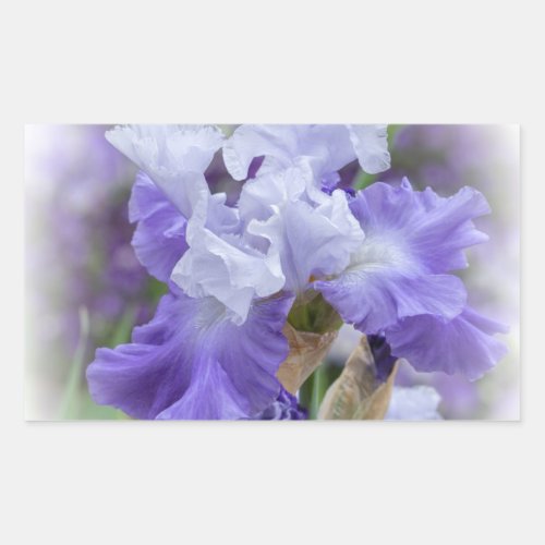 Regal Bearded Iris _ Purple  White Rectangular Sticker