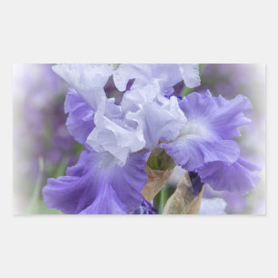 Regal Bearded Iris - Purple & White Rectangular Sticker
