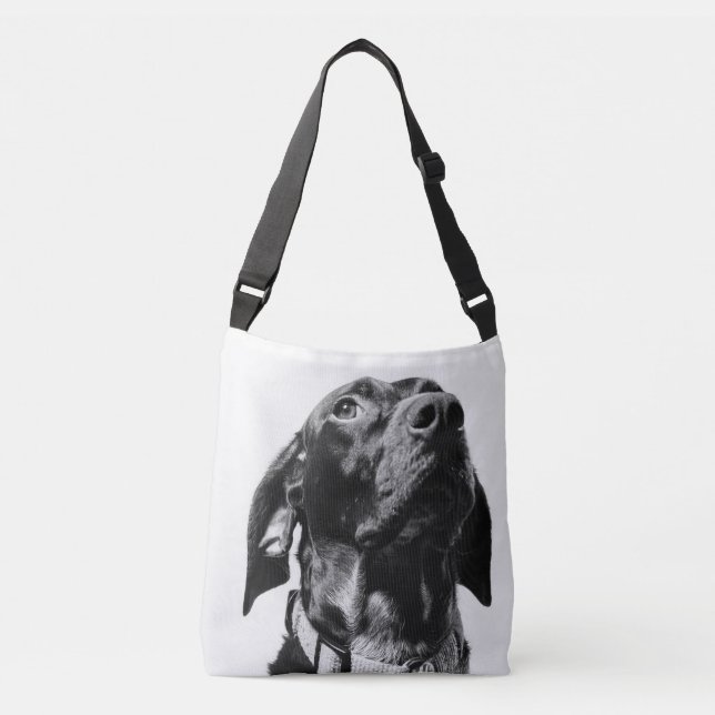 regal bw dog crossbody bag (Front)
