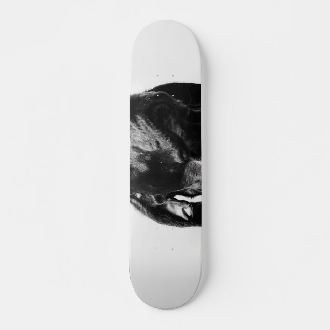regal bw dog skateboard (Front)