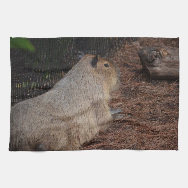 regal capybara back view animal towel (Horizontal)