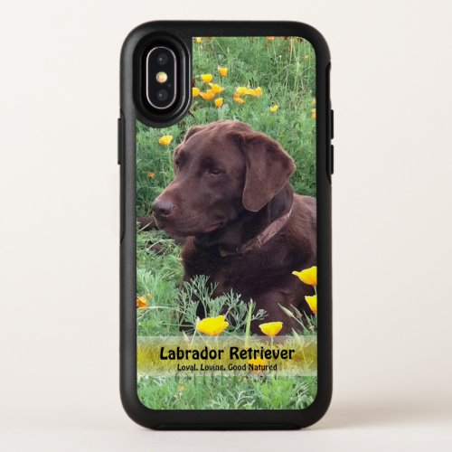 Regal Chocolate Labrador Dog in Flower Patch OtterBox Symmetry iPhone X Case