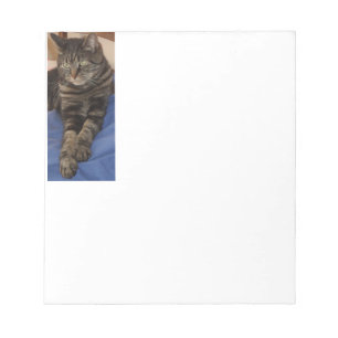 Regal Dave 40 Page Notepad
