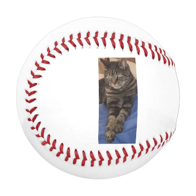 Regal Dave Baseball (Front Left)