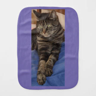 Regal Dave Burb Cloth