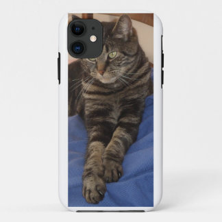 Regal Dave Cases
