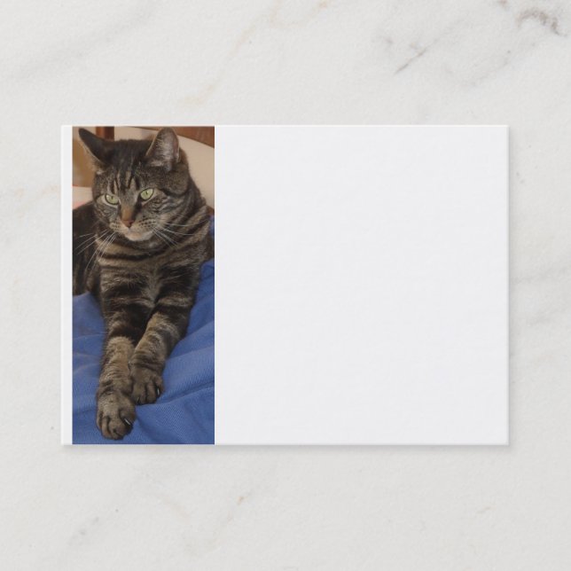 Regal Dave Chubby Business Card (Front)