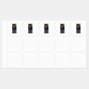 Regal Dave Clothing Labels