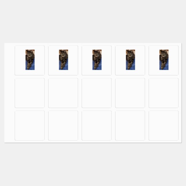 Regal Dave Clothing Labels (Sheet)