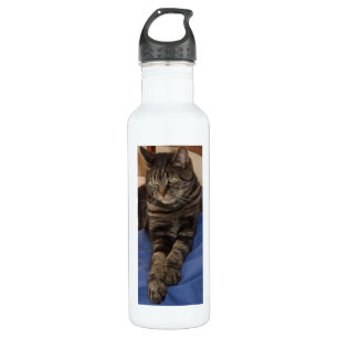 Regal Dave Custom Water Bottle (710 ml), White