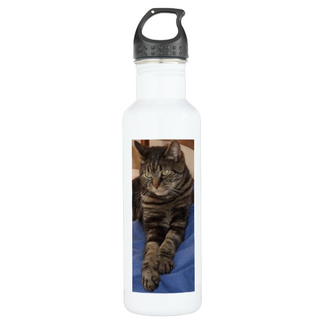 Regal Dave Custom Water Bottle (710 ml), White (Front)