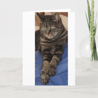 Regal Dave Greeting Cards