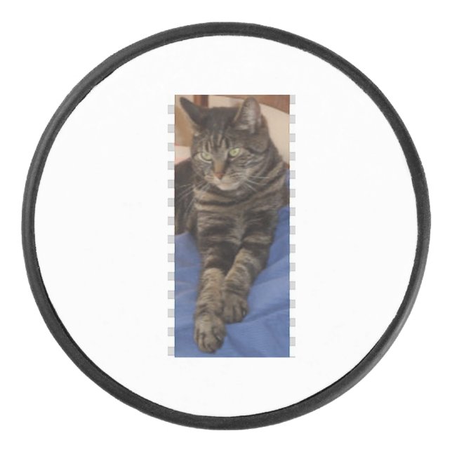 Regal Dave Hockey Puck (Front)