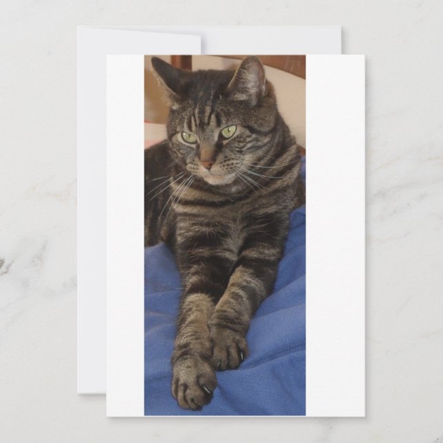 Regal Dave Invites (Front)