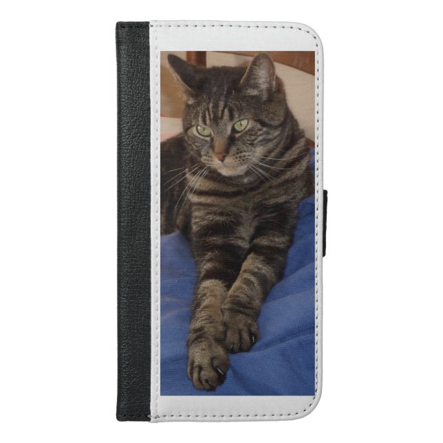 Regal Dave iPhone Wallet Case (Front)