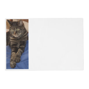 Regal Dave Laminated Placemat