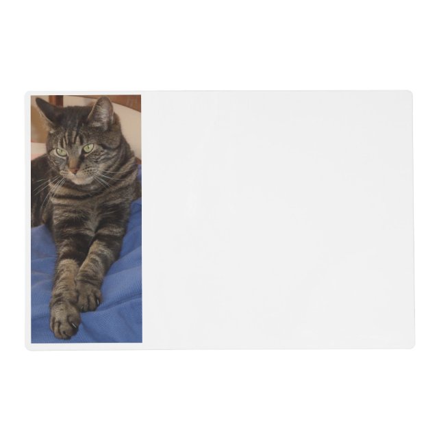 Regal Dave Laminated Placemat (Front)