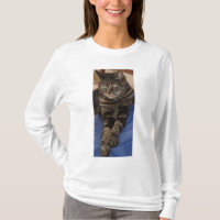 Regal Dave Long Sleeve Women's T-shirt