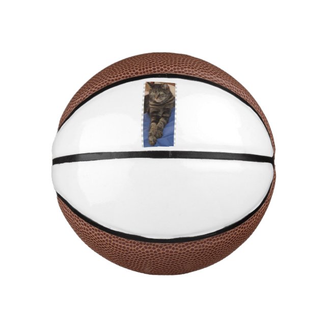 Regal Dave Mini Basketball (Front)