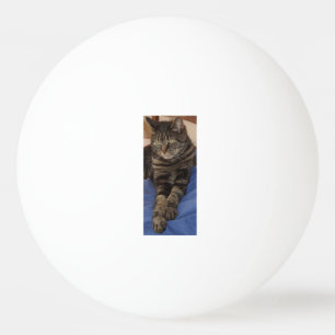 Regal Dave One Star Ping Pong Ball
