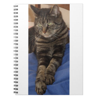 Regal Dave Photo Notebook (80 Pages)