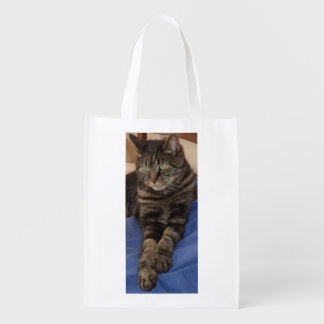 Regal Dave Reusable Bag