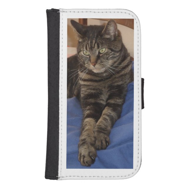 Regal Dave Samsung Galaxy S4 Wallet Case (Front)