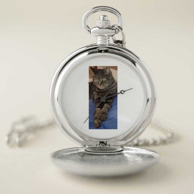 Regal Dave Silver Pocket Watch (Inside)