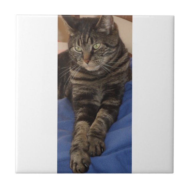 Regal Dave Small Ceramic Photo Tile (Front)
