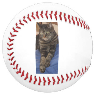 Regal Dave Softball