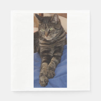 Regal Dave White Standard Luncheon Paper Napkins