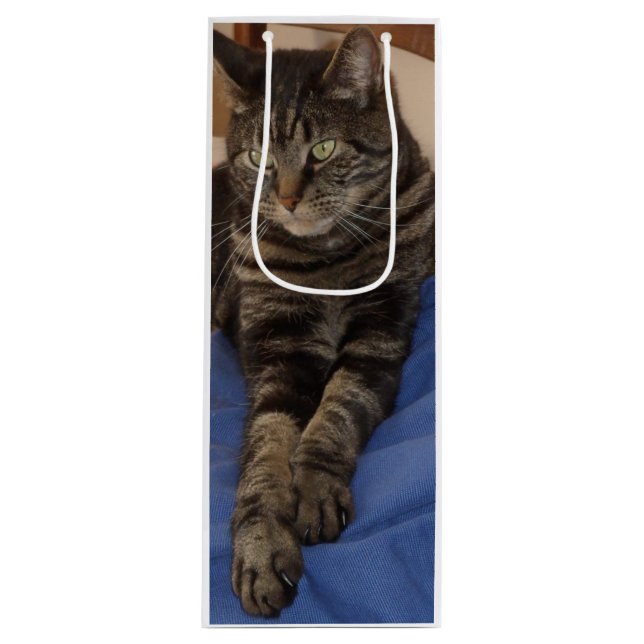 Regal Dave Wine Gift Bag (Front)