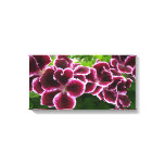 Regal Geranium Flowers Elegant Maroon Floral Canvas Print