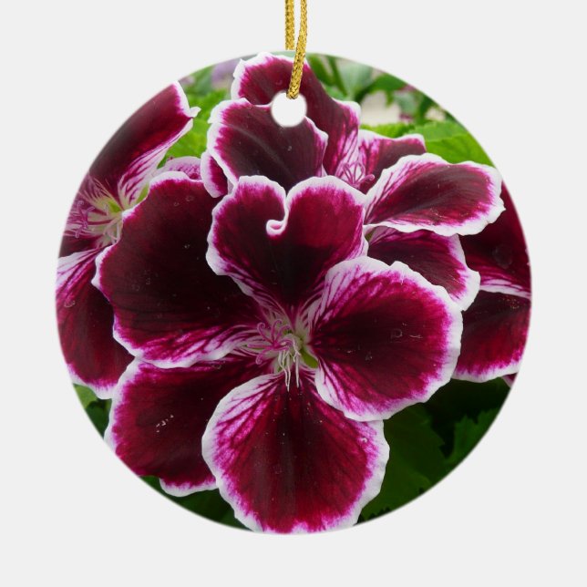 Regal Geranium Flowers Elegant Maroon Floral Ceramic Ornament (Front)