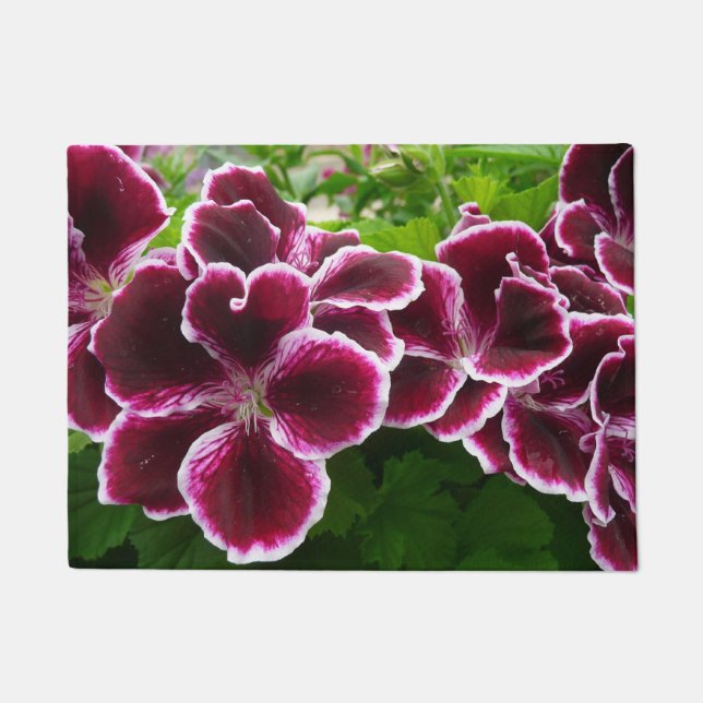 Regal Geranium Flowers Elegant Maroon Floral Doormat (Front)
