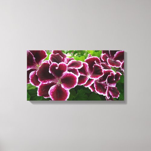 Regal Geranium Flowers Elegant Maroon Floral Lugga Canvas Print