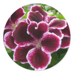 Regal Geranium Flowers Elegant Maroon Floral Lugga Classic Round Sticker