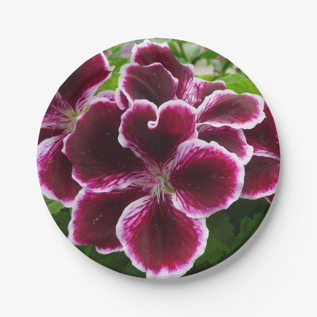 Regal Geranium Flowers Elegant Maroon Floral Lugga Paper Plates (Front)