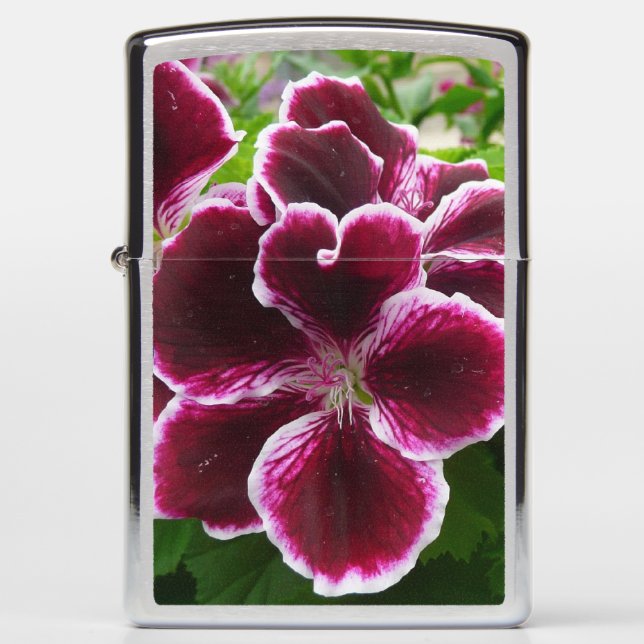 Regal Geranium Flowers Elegant Maroon Floral Lugga Zippo Lighter (Front)
