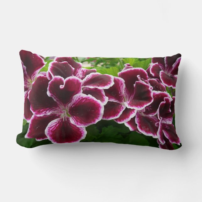 Regal Geranium Flowers Elegant Maroon Floral Lumbar Pillow (Front)
