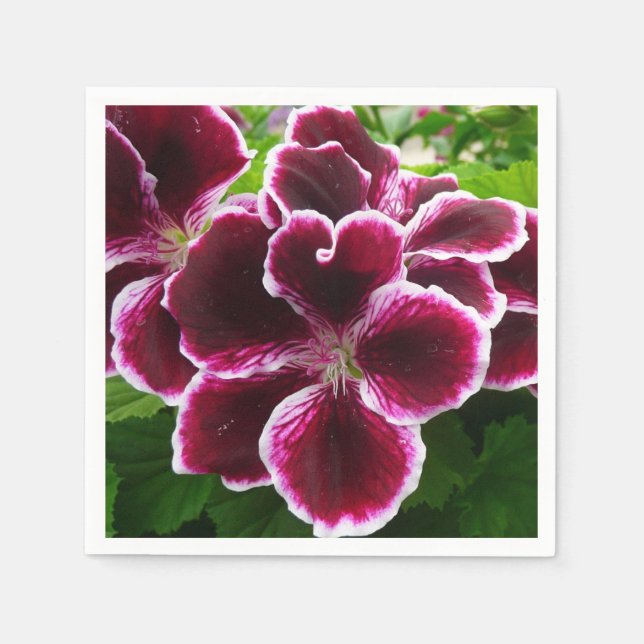Regal Geranium Flowers Elegant Maroon Floral Napkins (Front)