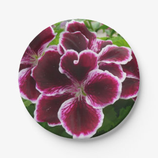Regal Geranium Flowers Elegant Maroon Floral Paper Plates