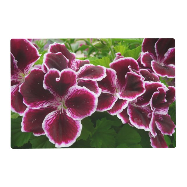 Regal Geranium Flowers Elegant Maroon Floral Placemat (Front)