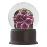 Regal Geranium Flowers Elegant Maroon Floral Snow Globe
