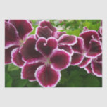 Regal Geranium Flowers Elegant Maroon Floral Tissue Paper